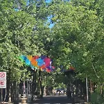 New Bamboo Zamare Pool & Gym