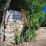 Casa Mango