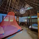 Casa Mango
