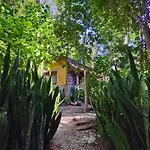 Casa Mango Bed and breakfast