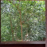 Casa Mango