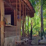 Bed and breakfast Casa Mango 3*