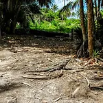 Botanica Tulum, # 302 Ph, Aldea Zama