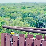 Jungle Guardian - Rooftop Pool & Club In Zona Hotelera Apartment Tulum