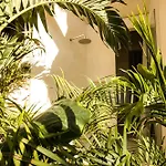 Muaré Wellness&spa Tulum