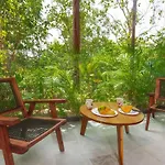 Mystic In The Jungle