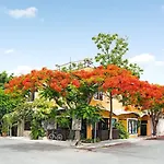 Maison 3*