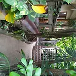 La Del Sol Boutique Hotel Tulum