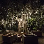 Jashita (adults Only) Tulum