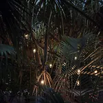Jashita (adults Only) Tulum