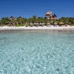 Jashita (adults Only) 5*