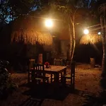 Casa Mango