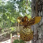 Casa Mango 3*