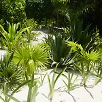 Pocna 3* Tulum