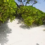 Pocna Hotel Tulum