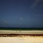 Pocna Tulum
