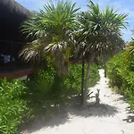 Pocna Tulum