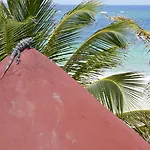 Pocna 3*