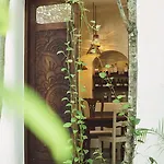 Holistika Tulum