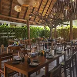 Alea 4* Tulum