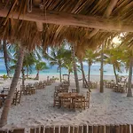Alito Tulum