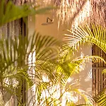 Muaré Wellness&spa Tulum