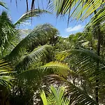Casa Gitano Hotel Tulum