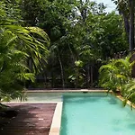 Mayan Culture Villa With Rooftop Pool