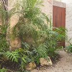 Entorno Tulum - Luxury Villas