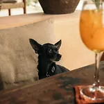 Chiringuito Tulum