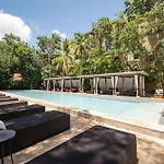 Art House - A Living Work Of Art * Tulum