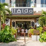 Casa Tira - Your Luxury Jungle Mansion In Tulum