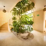 Tierra - Pool & Roof Panoramic