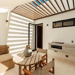 Elegant Duplex With Rooftop Jacuzzi In Apartment *