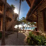 Life Source Retreats Tulum