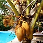 & Gardens 3* Tulum