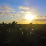 Amigos Boutique