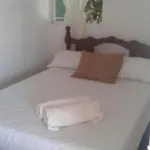Lobo Inn Tulum Hostel Tulum
