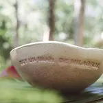 Holistika Hotel Tulum