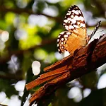 Apartamento Casa Selva De Luz Tulum
