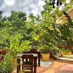 Maison Hotel 3*