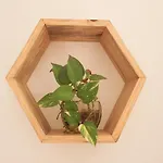 Amorcito Corazon Hotel & Hostal