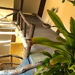 Lo Nuestro Petit Hotel Tulum