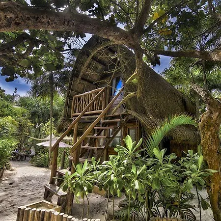 Ahau - Beachfront (adults Only) 4*