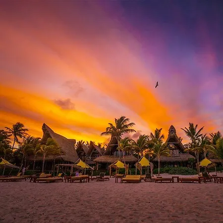 Hotel Ahau - Beachfront (adults Only)