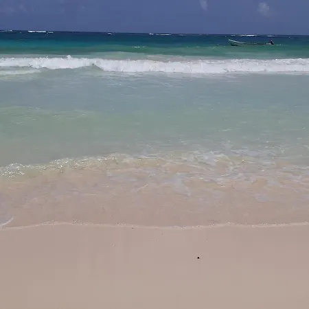 Playa Palmas * Tulum