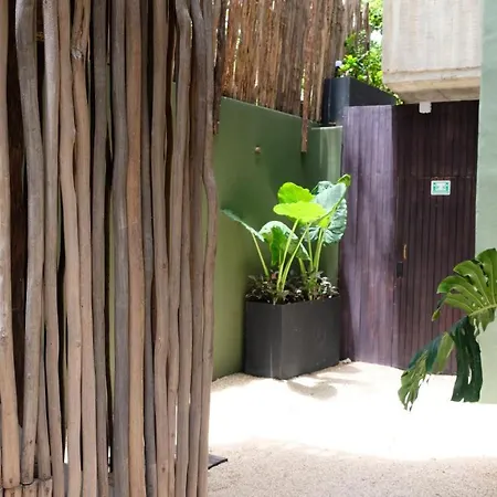 Bed & Breakfast Loba Male Only Tulum