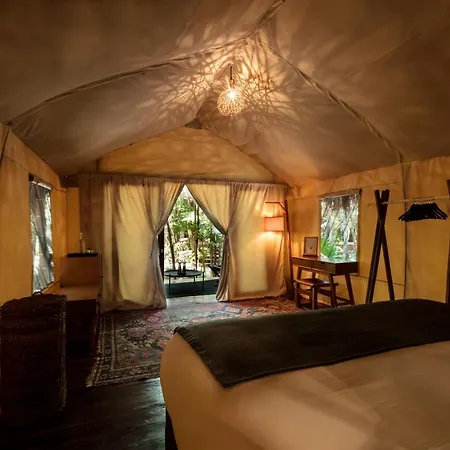 Our Habitas - Adults Only 5*