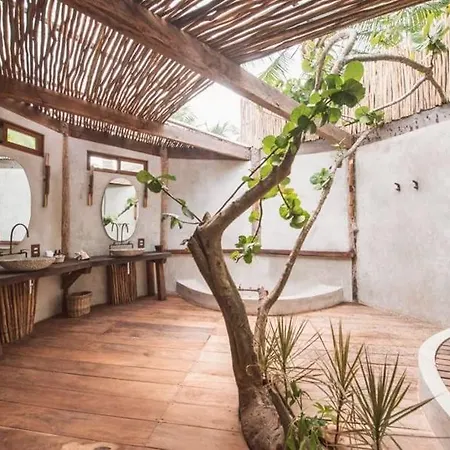 Delek Hotel Tulum