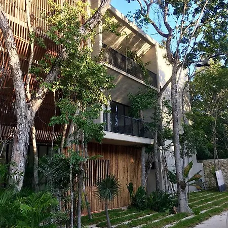 Acinte By Endemico Tulum